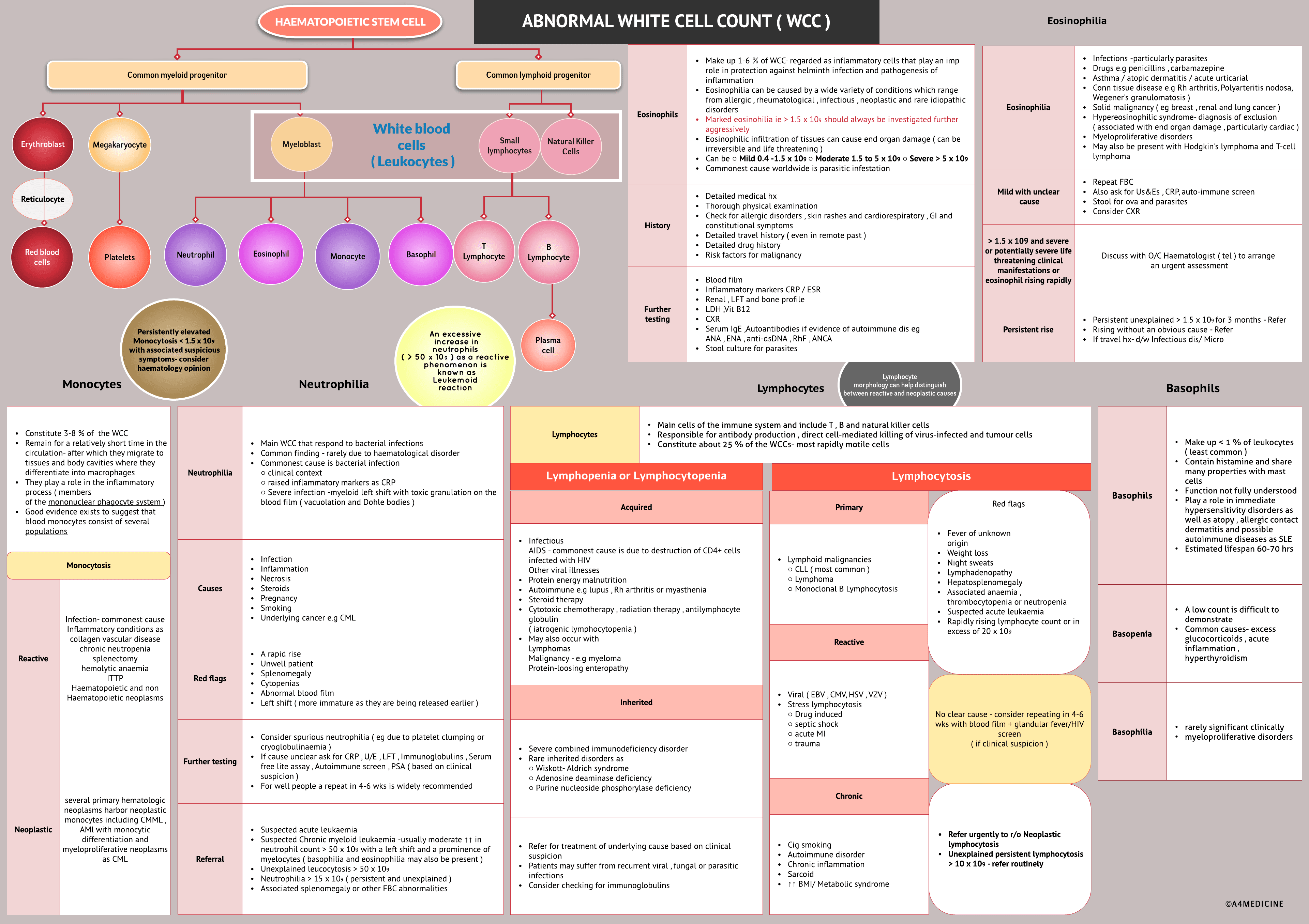 Abnormal White Cell Count