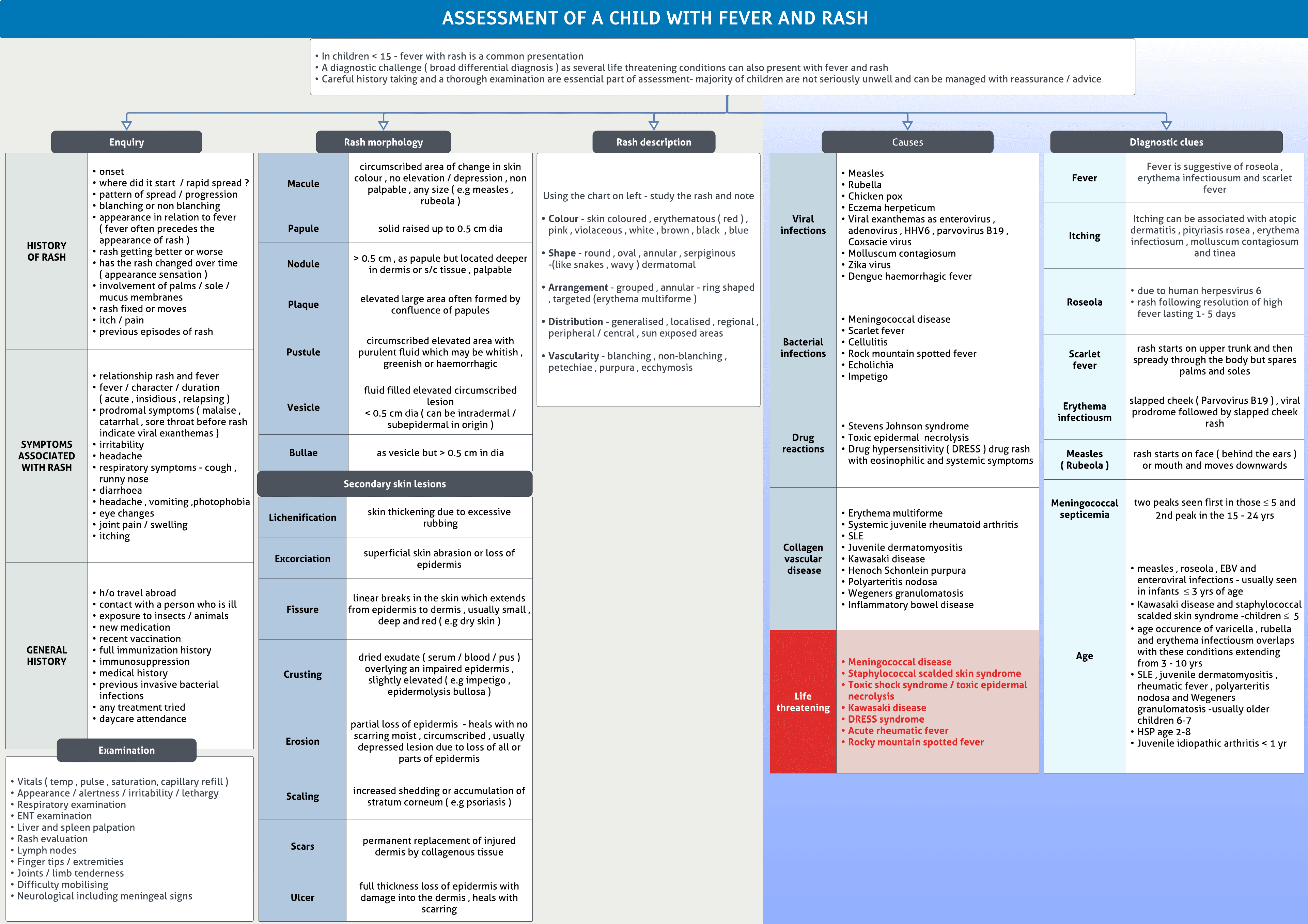 Child with fever and rash- differentials