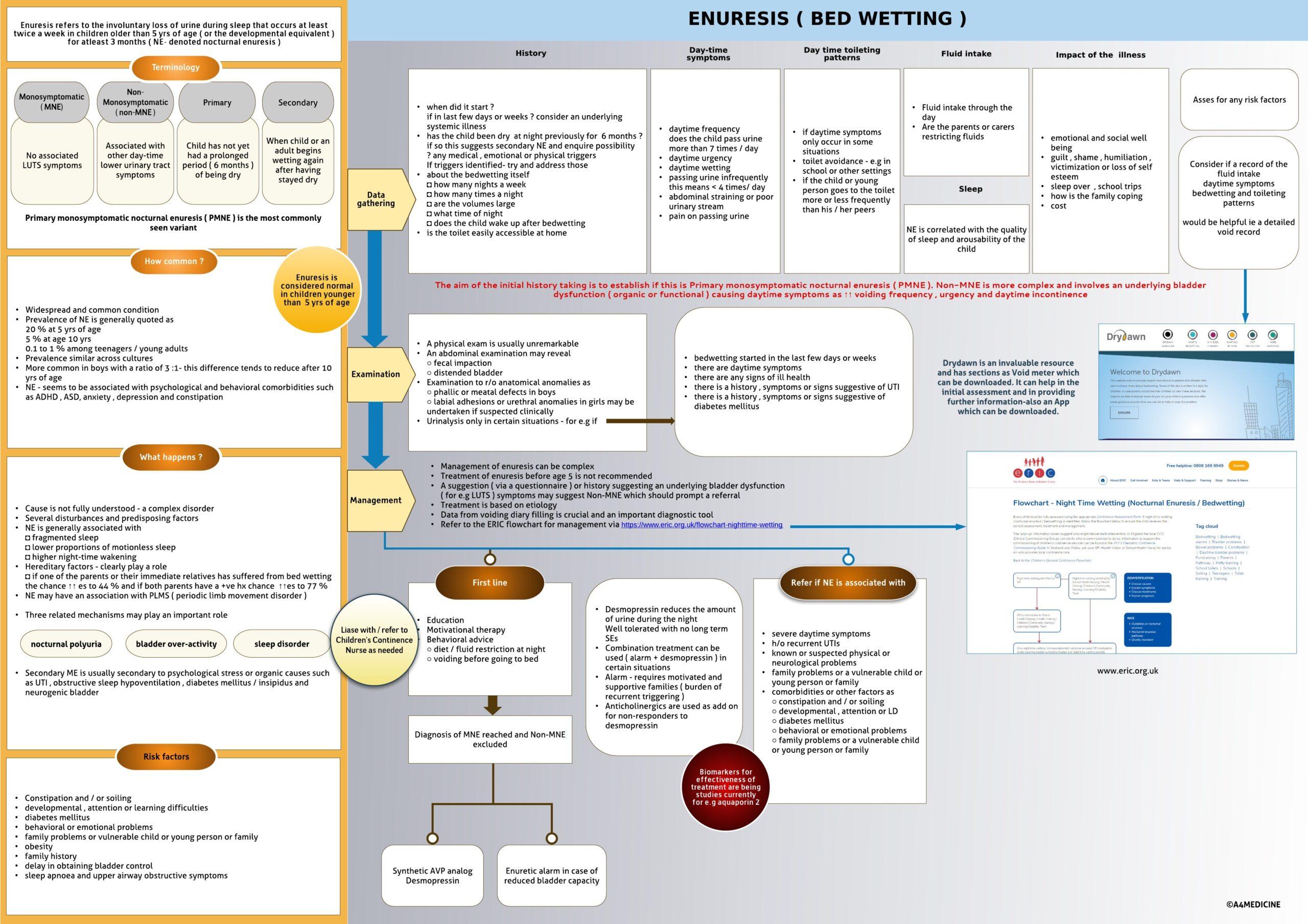 Enuresis ( Bedwetting )