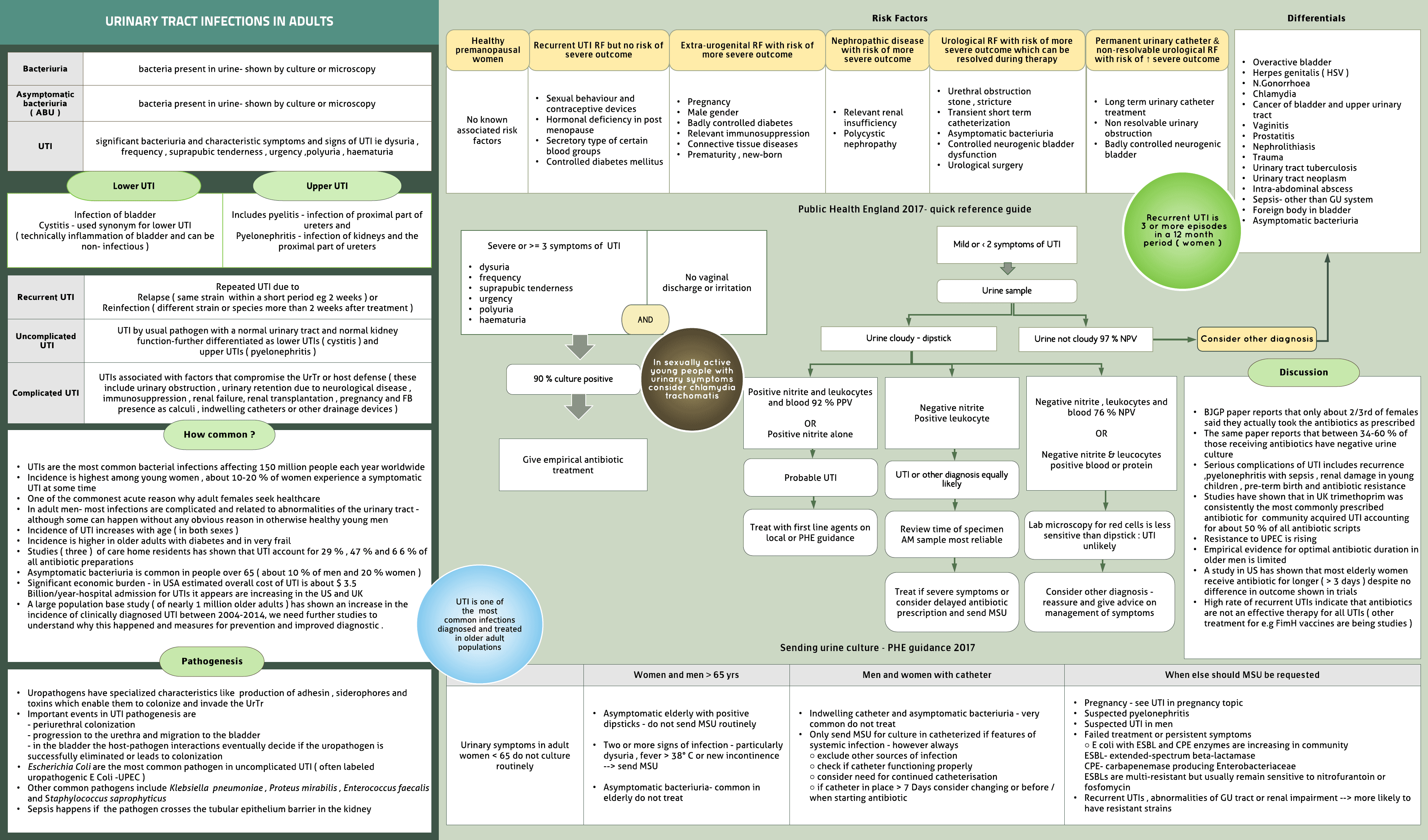 Urinary Tract Infection- Adults