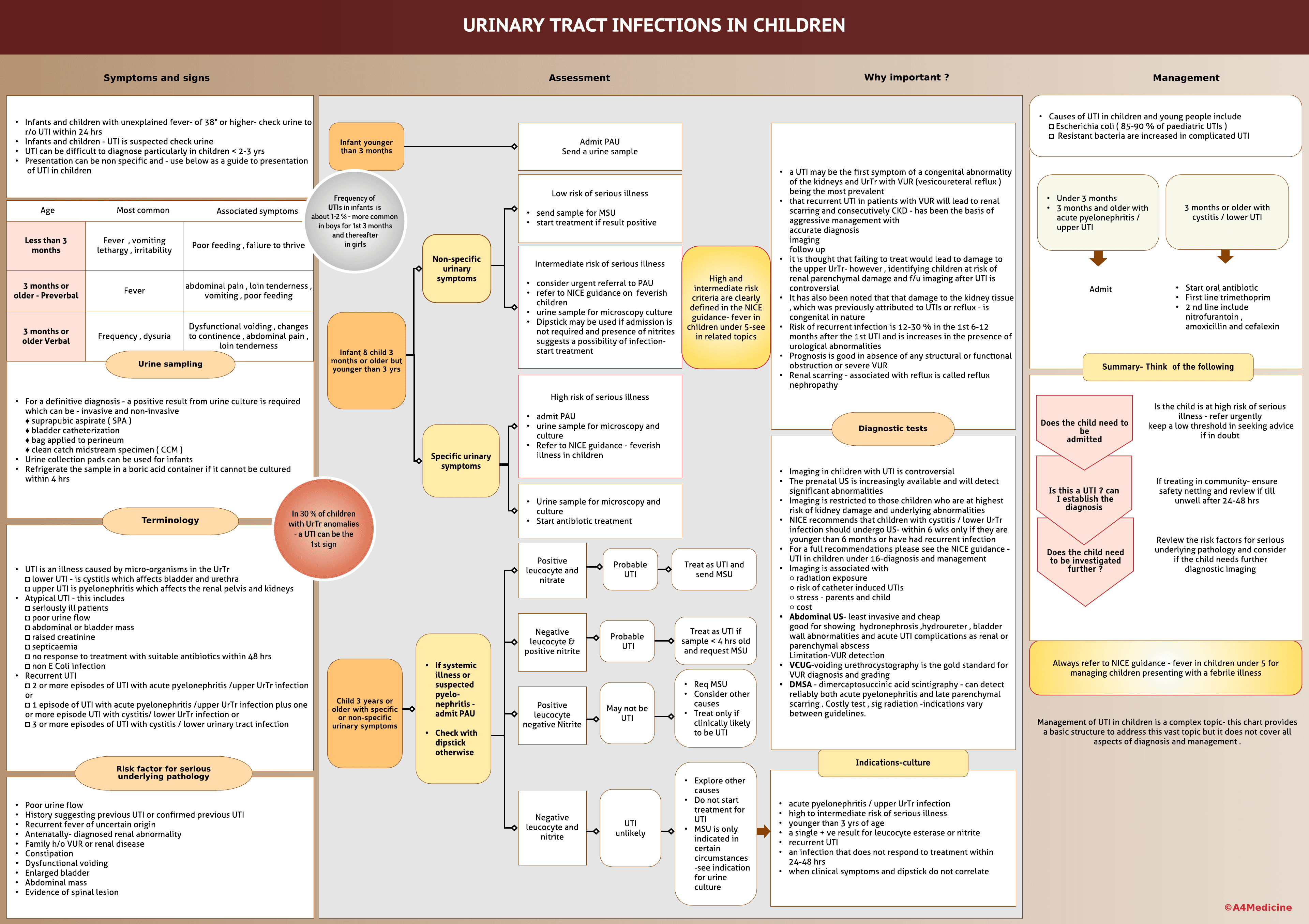 Urinary Tract Infection ( UTI ) in children