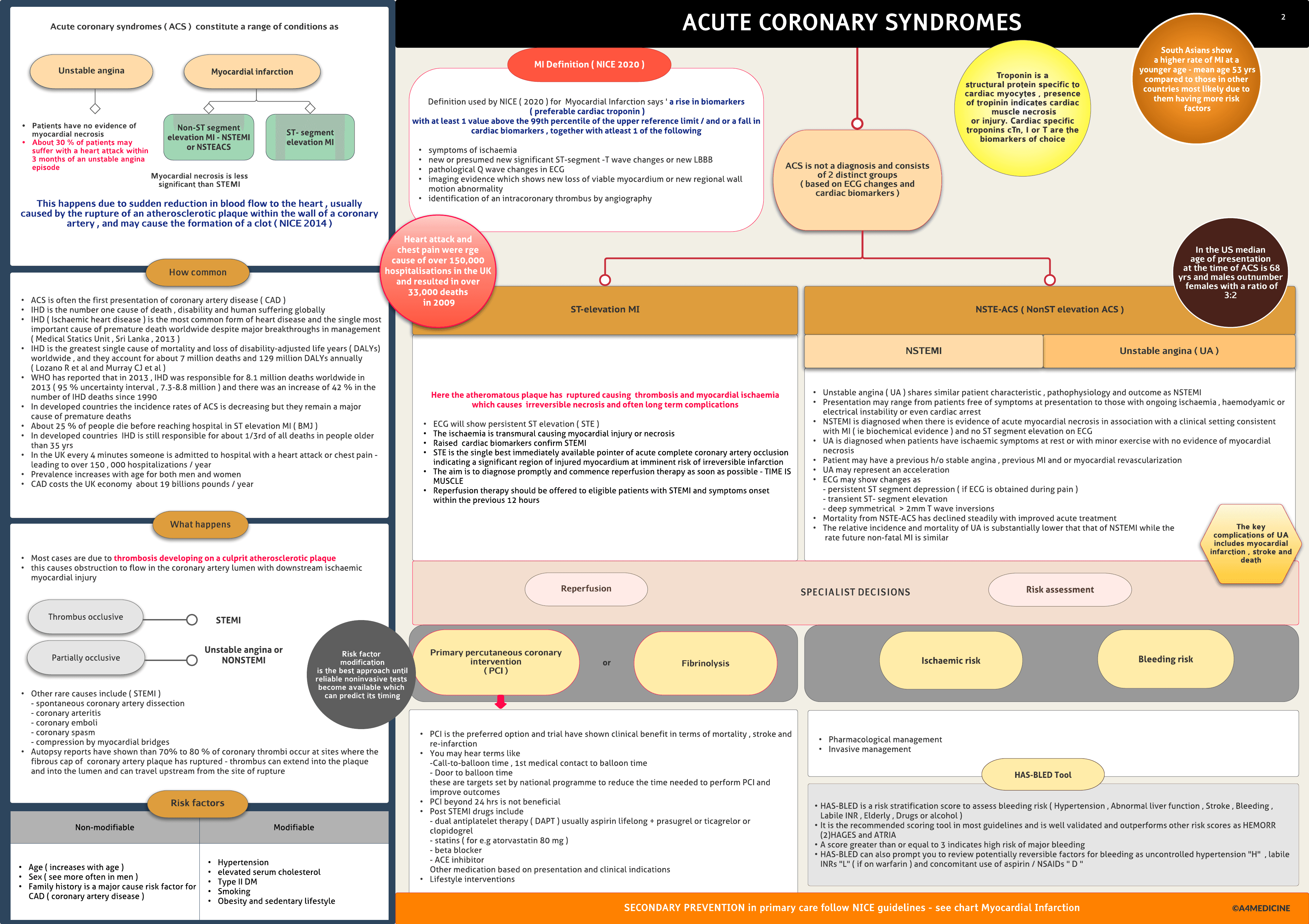 Acute Coronary Syndromes